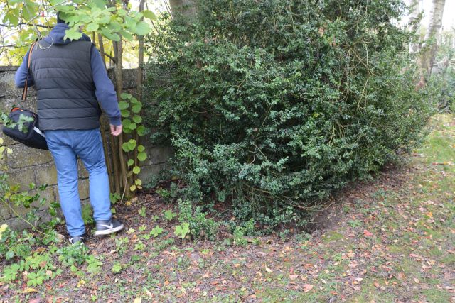 20.10.2020: Auf der Parzelle V. Maraite: Vor dem Strauch befindet sich eine Öffnung in der Erde, die archäologisches Interesse hervorruft.
